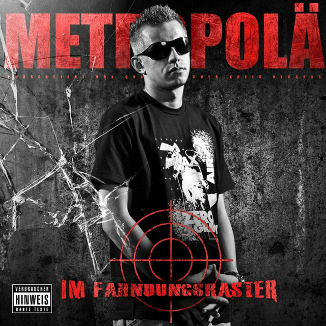 Im Fahndungsraster cover art