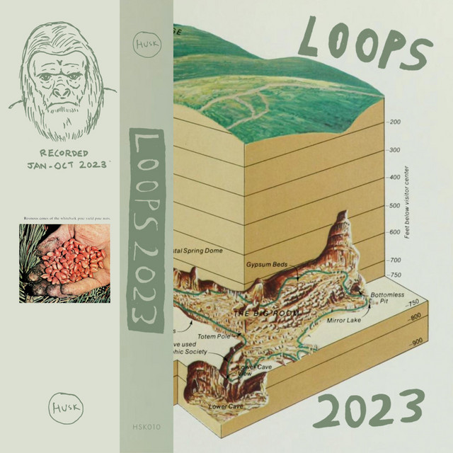 Loops | 2023 cover art