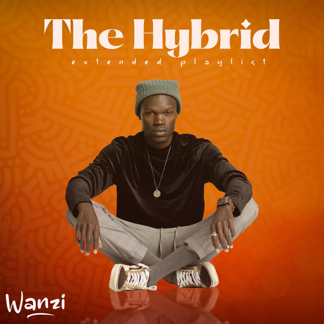 Wanzi