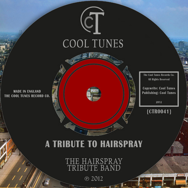 The Hairspray Tribute Band