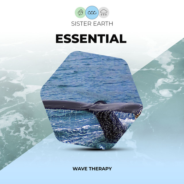 Essential Wave Therapy - Album by Ocean Sleep Sounds | Spotify