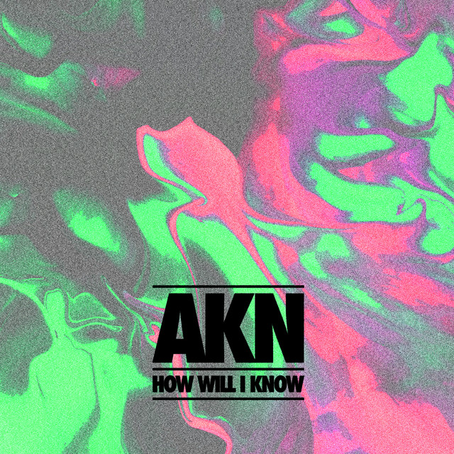 How Will I Know - Extended Mix album art