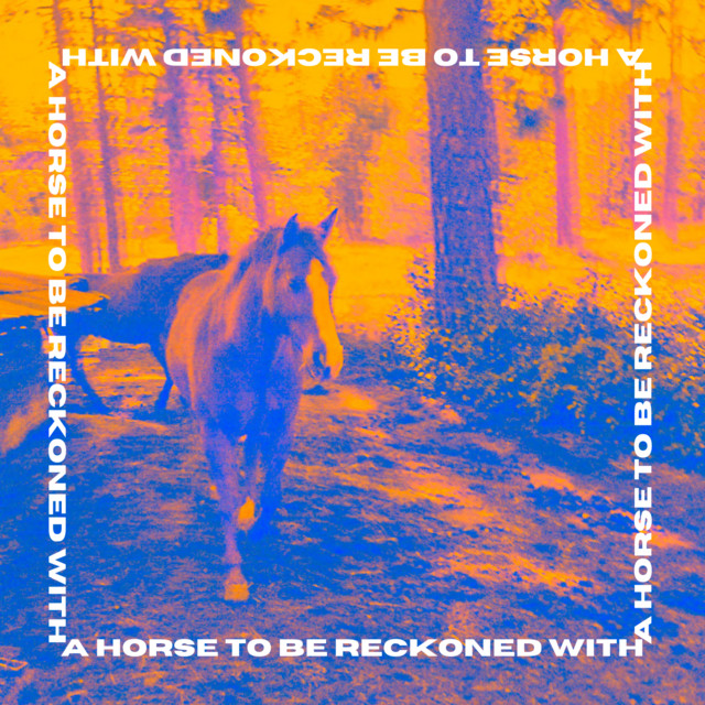 A Horse to be Reckoned With album image