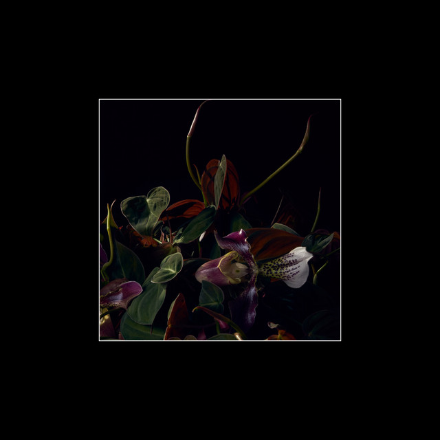 Vetiver, Pt. 1 cover art