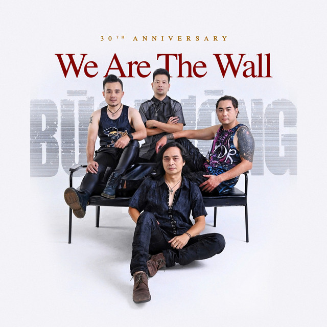 We Are The Wall (Liveshow 30th Anniversary) cover art
