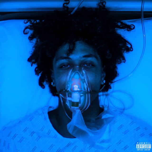 Admitted cover art