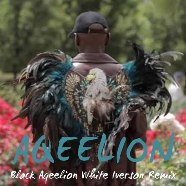 Black Aqeelion White Iverson