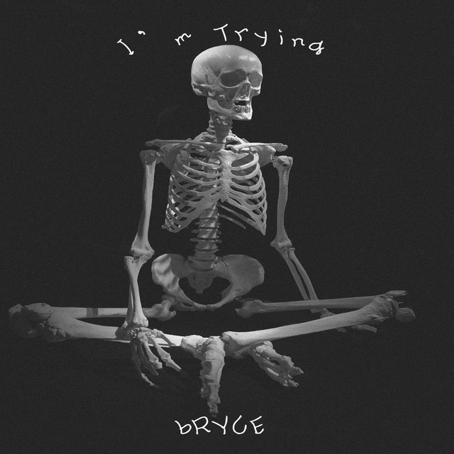 I'm trying cover art