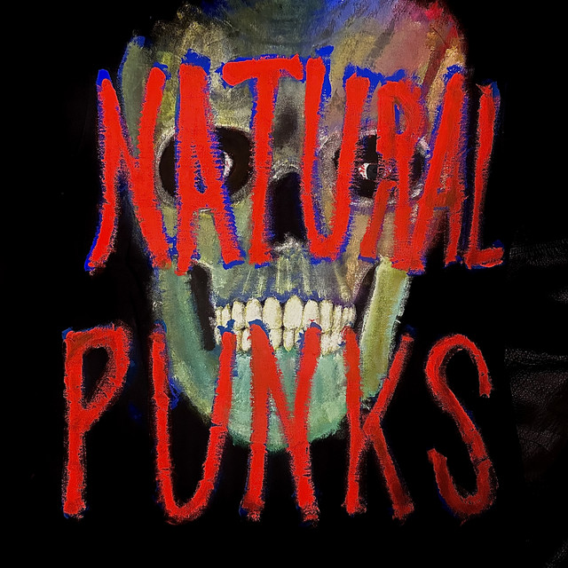 NATURAL PUNKS cover art