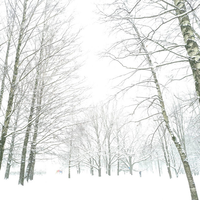 Ziemassvētku Brīnums