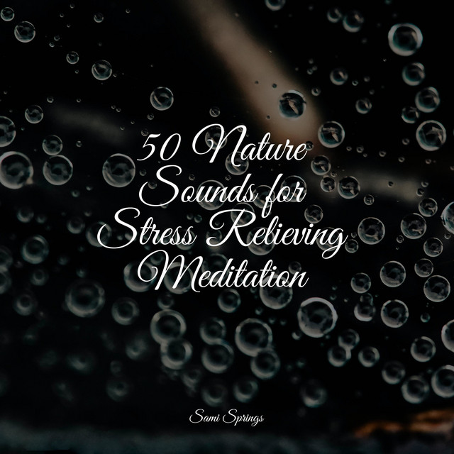 50 Nature Sounds for Stress Relieving Meditation - Album by Musica ...