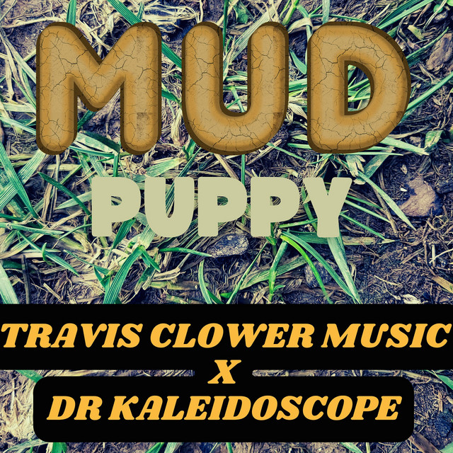 Mud Puppy