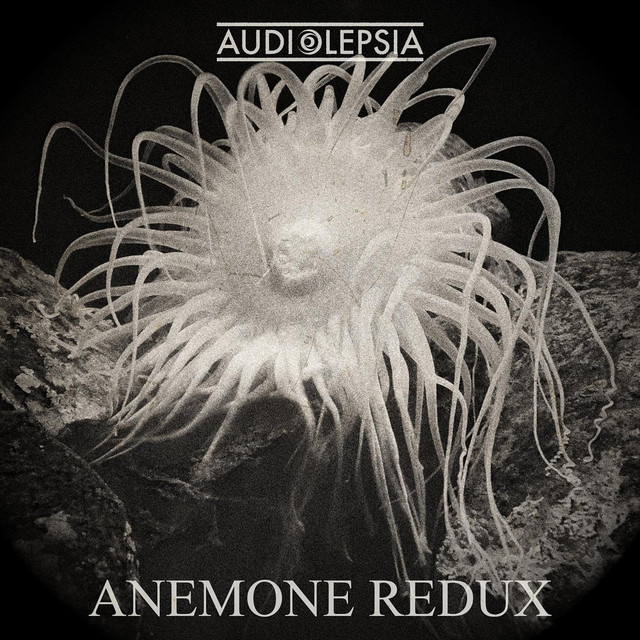 Anemone Redux cover