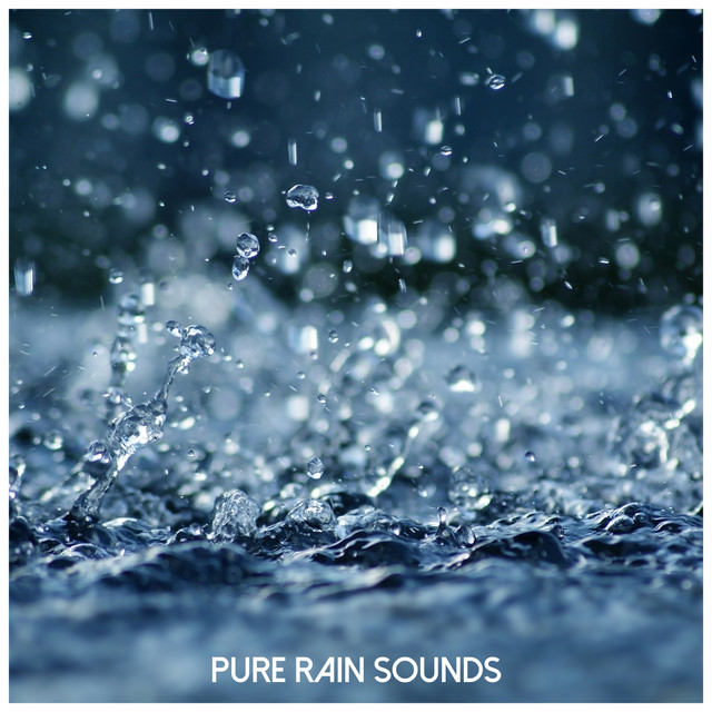 Pure Rain Sounds cover art