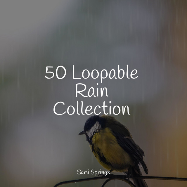 50 Loopable Rain Collection - Album by Relajantes sonidos de lluvia ...