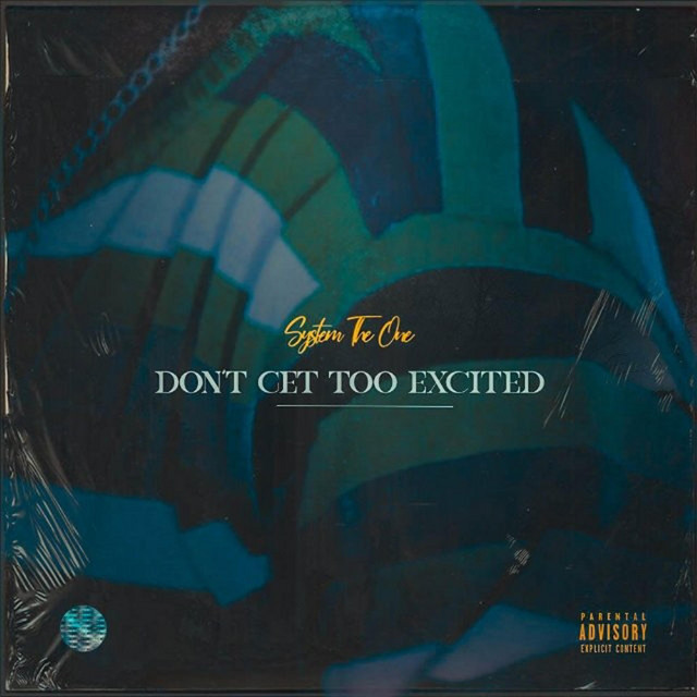 Don't Get Too Excited cover art