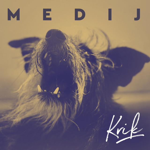 Medij