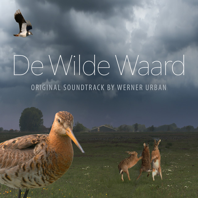 De Wilde Waard (Wildlife In Windmill Country / Wildnis Zwischen Windmühlen) [Original Soundtrack] cover