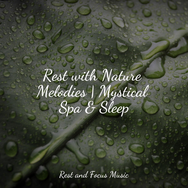 Rest with Nature Melodies | Mystical Spa & Sleep - Album by Avslappning ...