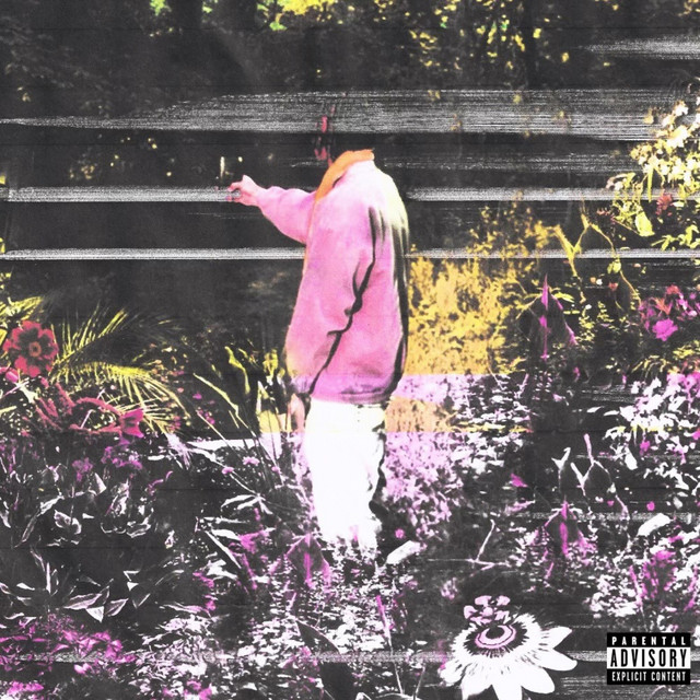 OUTSIDE LOOKING IN cover art