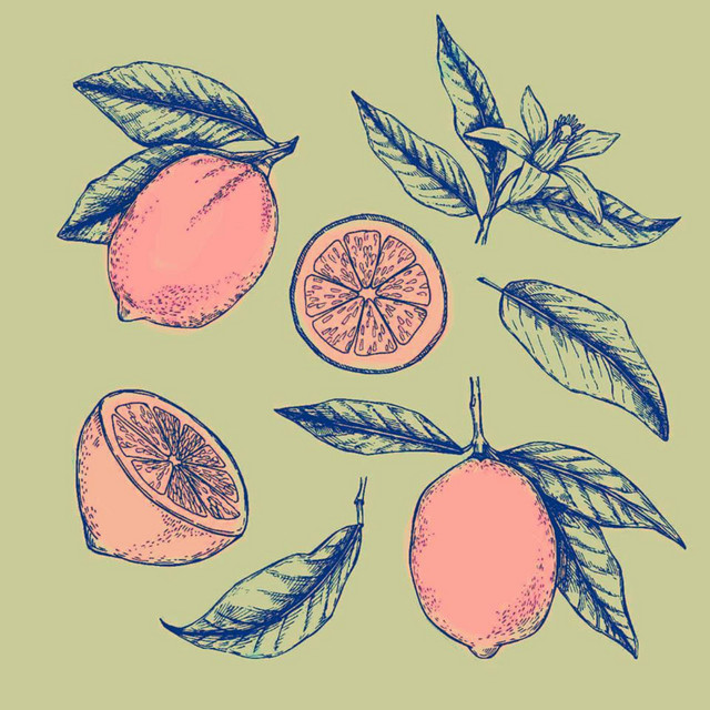 Lemons cover art
