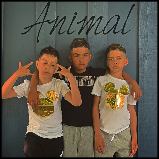 Animal - Single by Osman | Spotify