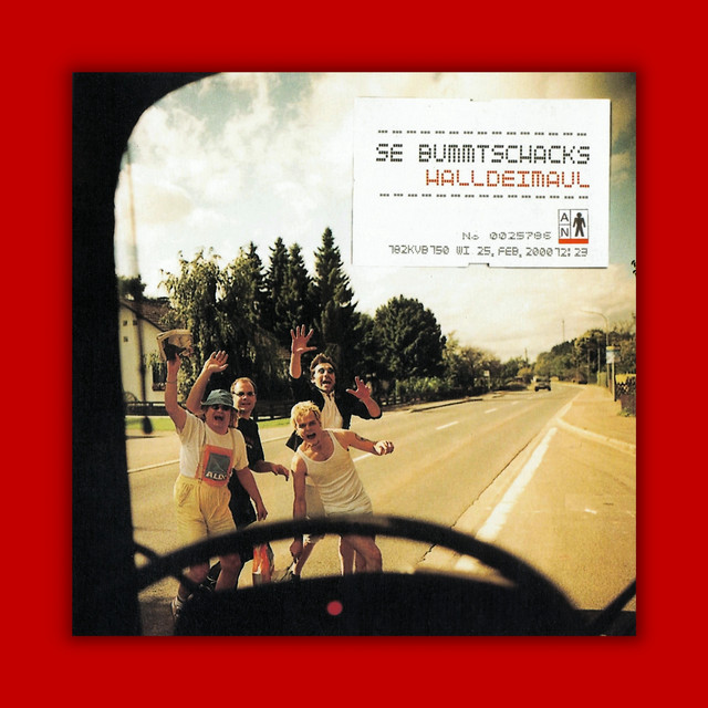 Halldeimaul cover