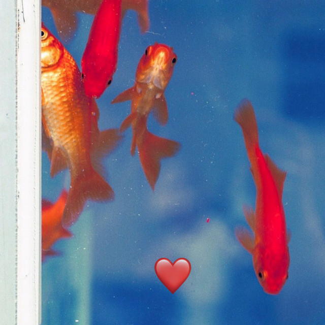 ♥
