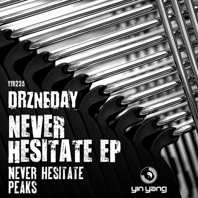 Never Hesitate album art