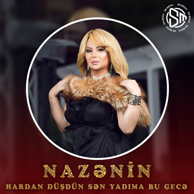 Hardan Düşdün Sən Yadıma Bu Gecə cover art