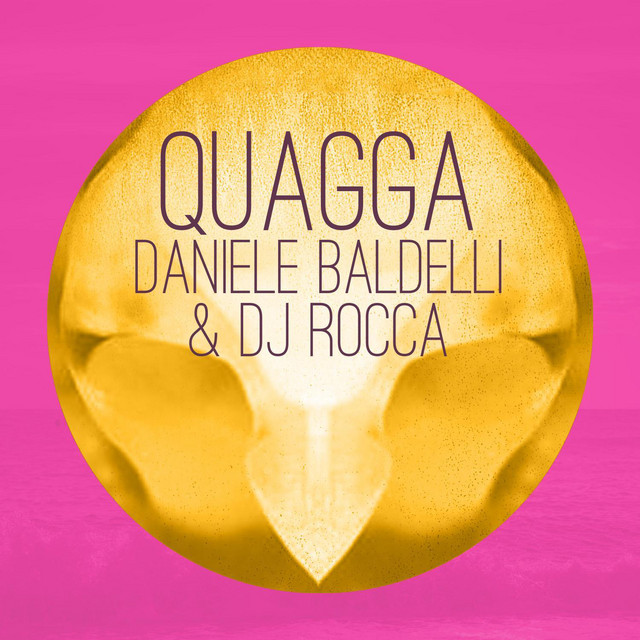 Quagga - Aimes' Night Into Day Remix cover art