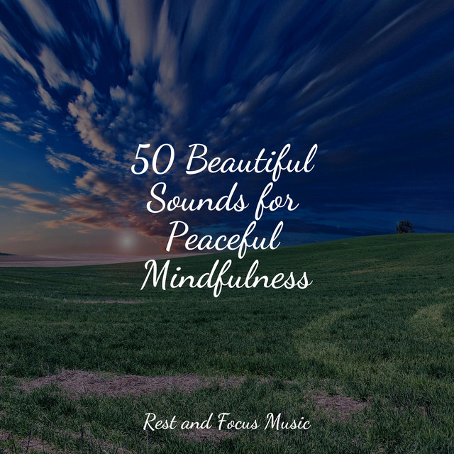 50 Beautiful Sounds for Peaceful Mindfulness - Album by Relaxation ...