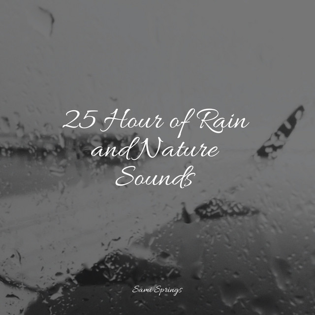 25 Hour of Rain and Nature Sounds - Album by Rain Sounds & Nature ...