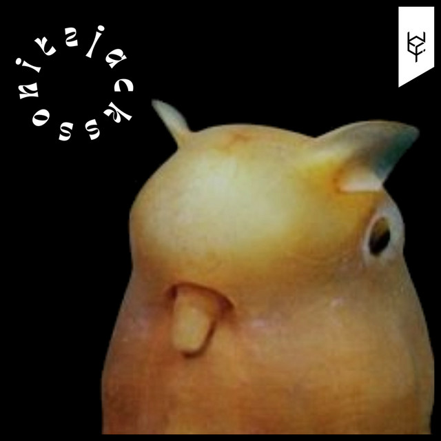 Saga of the Dumbo Octopus cover art