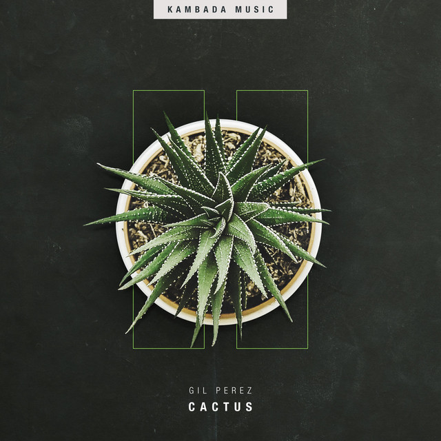 Mirrors cover art