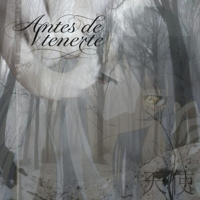 Antes de tenerte