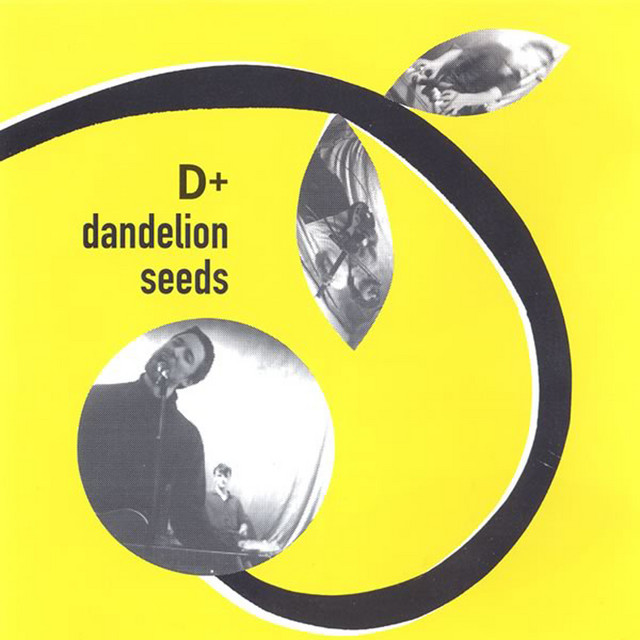 Dandelion Seeds cover art