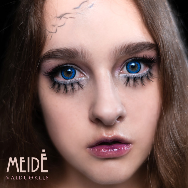 Vaiduoklis cover