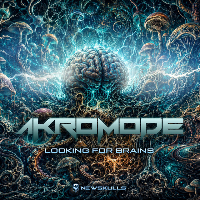 Looking For Brains cover