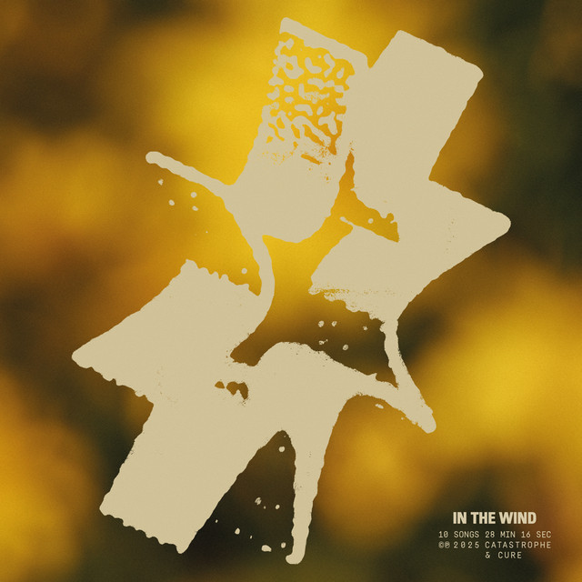 In the Wind cover art