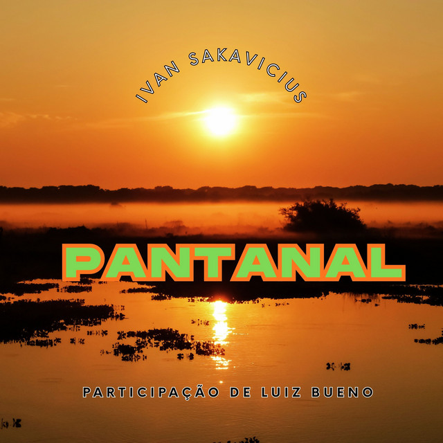 Pantanal cover
