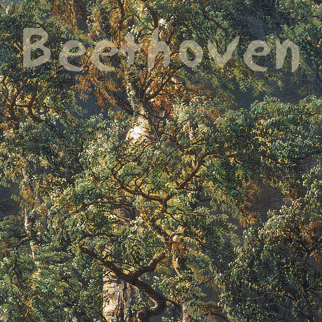 Beethoven Sonatas Vol I