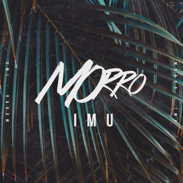 IMU cover art