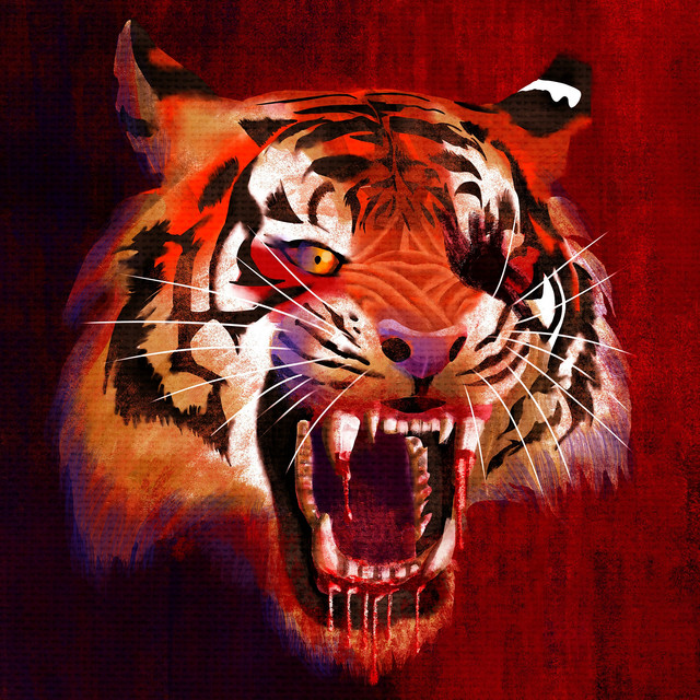 Kansporu cover art