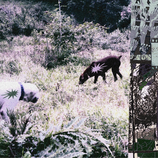 otro lugar cover art