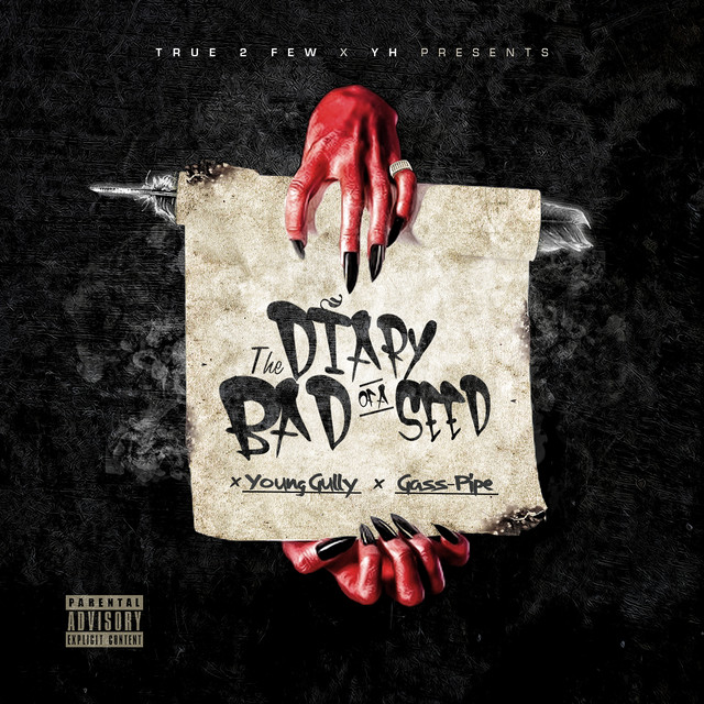 Diary Of A Bad Seed (feat. Young Gully) cover art