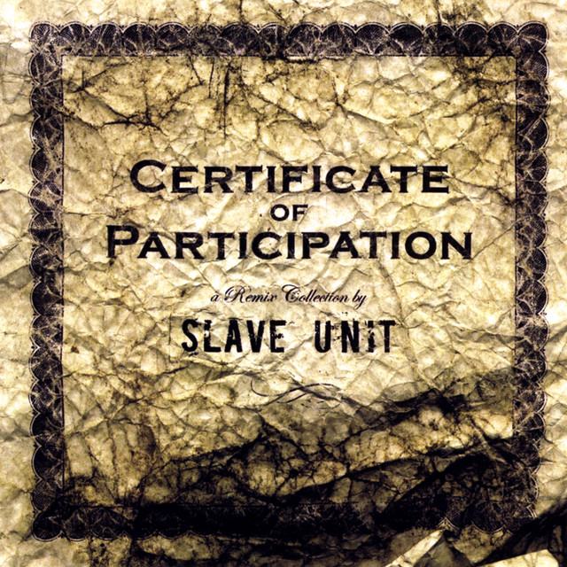 Certificate Of Participation cover art