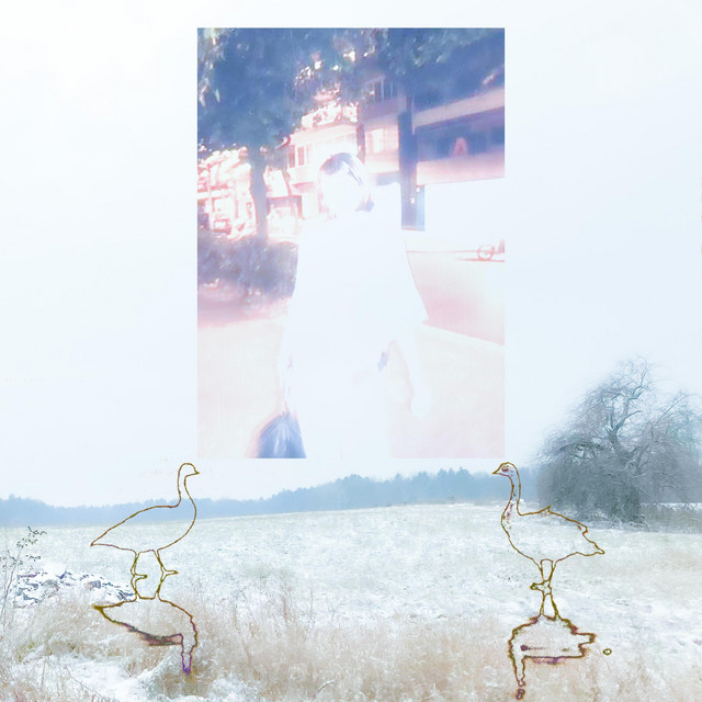 Outskirt seizure cover art