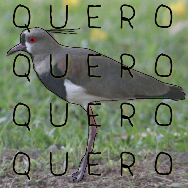 QUERO QUERO QUERO QUERO cover
