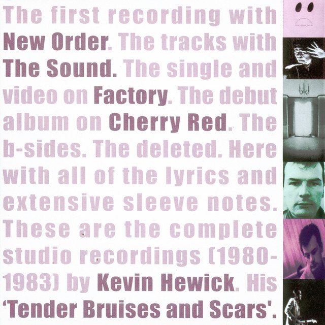 Tender Bruises And Scars cover